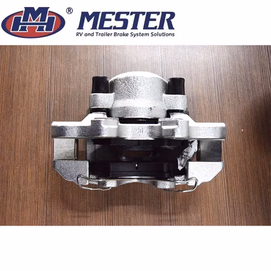 Dexter hydraulische Scheibenbremsen für Bootsanhänger